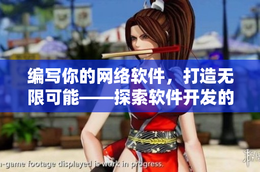编写你的网络软件，打造无限可能——探索软件开发的最后一步