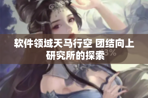 软件领域天马行空 团结向上 研究所的探索