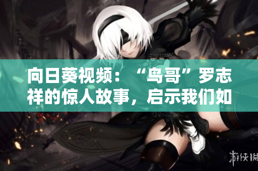 向日葵视频：“鸟哥”罗志祥的惊人故事，启示我们如何打造优秀网络软件