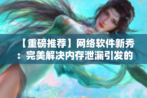 【重磅推荐】网络软件新秀：完美解决内存泄漏引发的overflow问题！