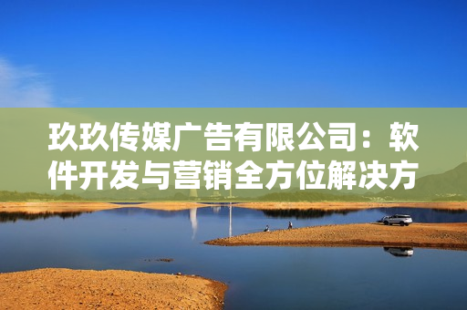 玖玖传媒广告有限公司：软件开发与营销全方位解决方案
