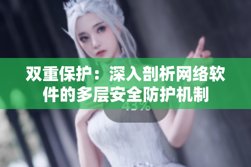 双重保护：深入剖析网络软件的多层安全防护机制