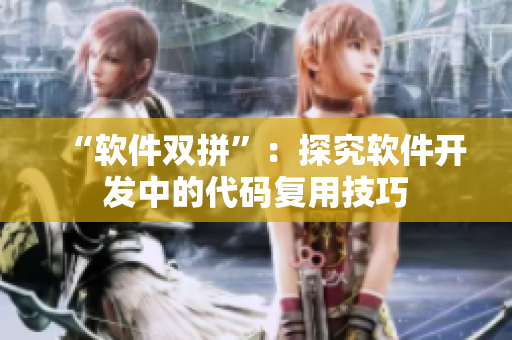“软件双拼”：探究软件开发中的代码复用技巧
