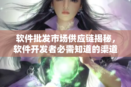 软件批发市场供应链揭秘，软件开发者必需知道的渠道！