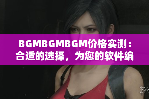 BGMBGMBGM价格实测：合适的选择，为您的软件编程优化加分