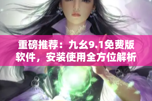 重磅推荐：九幺9.1免费版软件，安装使用全方位解析！
