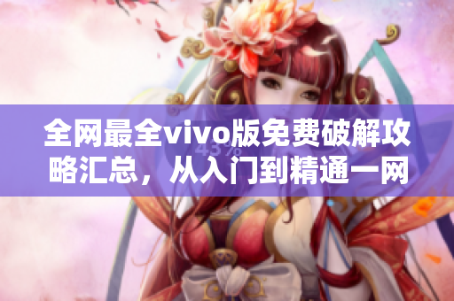 全网最全vivo版免费破解攻略汇总，从入门到精通一网打尽