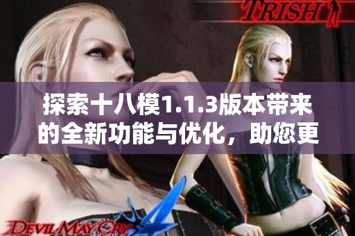 探索十八模1.1.3版本带来的全新功能与优化，助您更高效地使用