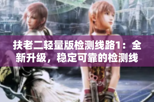 扶老二轻量版检测线路1：全新升级，稳定可靠的检测线路优化提升