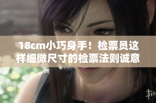 18cm小巧身手！检票员这样细微尺寸的检票法则诚意满满