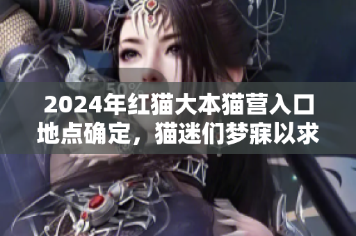 2024年红猫大本猫营入口地点确定，猫迷们梦寐以求的猫之乐园将如何开启？