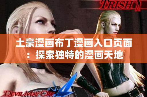 土豪漫画布丁漫画入口页面：探索独特的漫画天地
